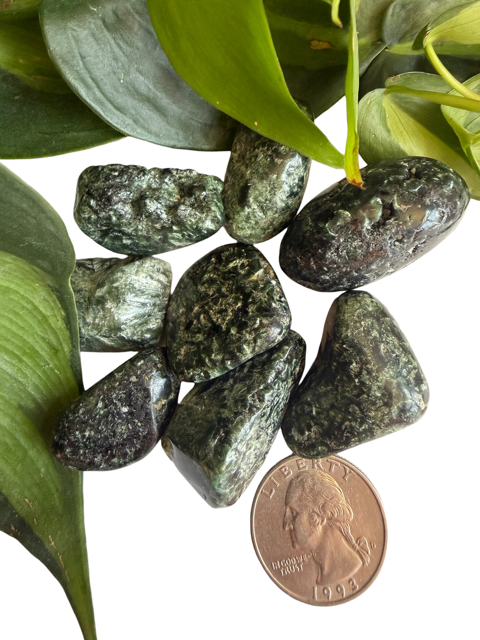 Tumbled Seraphinite