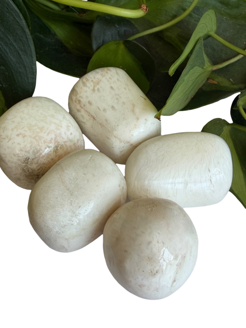 Tumbled Scolecite