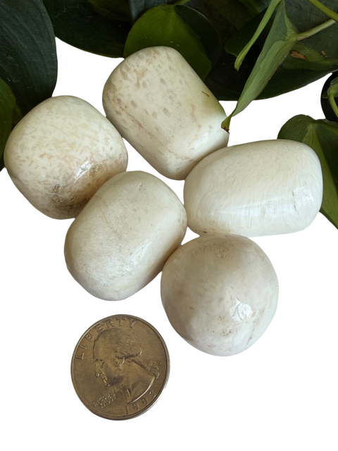 Tumbled Scolecite