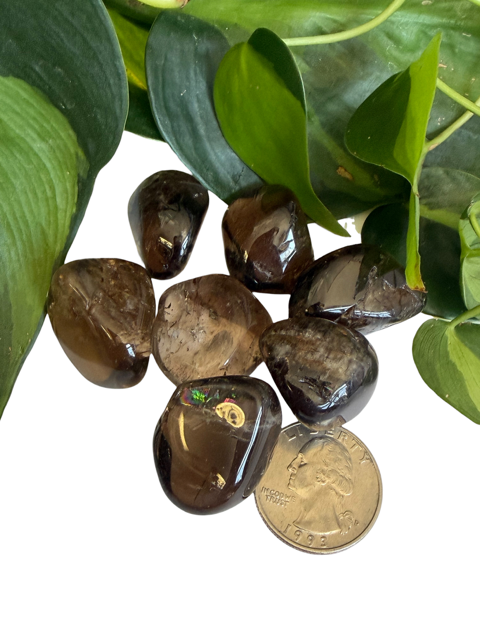 Tumbled Quartz Smokey