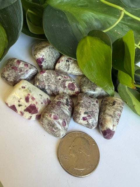 Tumbled Ruby in Matrix