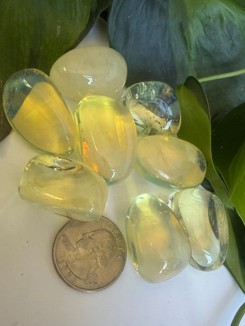 Tumbled Obsidian Yellow