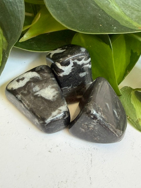 Tumbled Jasper Zebra