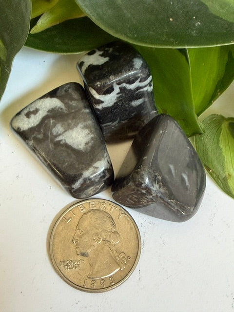 Tumbled Jasper Zebra