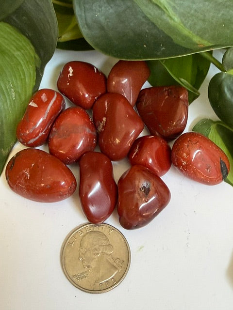 Tumbled Jasper Red