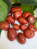 Tumbled Jasper Red