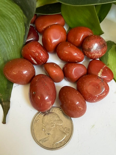 Tumbled Jasper Red