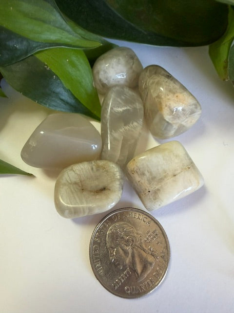 Tumbled Moonstone Black