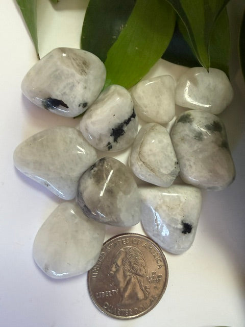 Tumbled Moonstone Rainbow