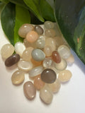 Tumbled Small Moonstone