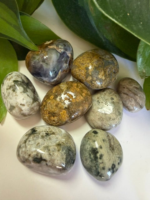 Tumbled Jasper Ocean (Orbicular)