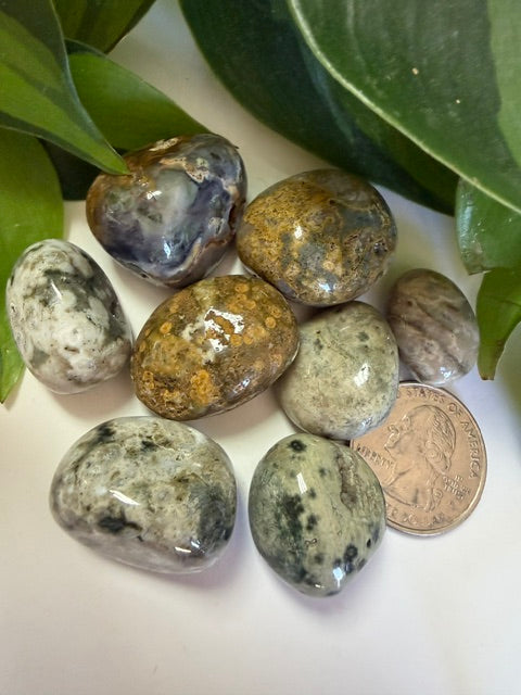 Tumbled Jasper Ocean (Orbicular)