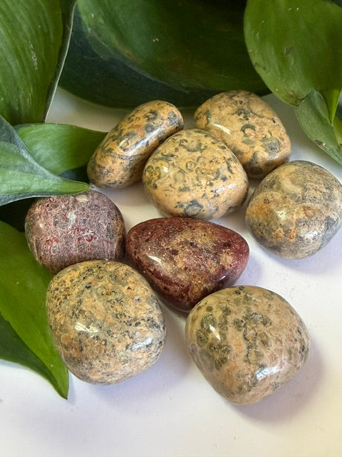 Tumbled Jasper leopard skin