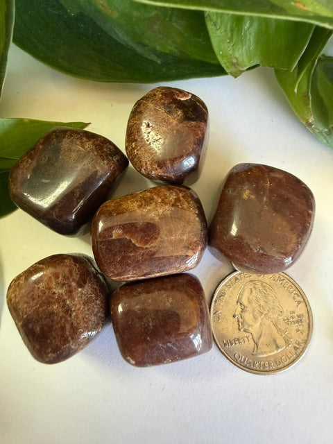 Tumbled and Rough Garnet