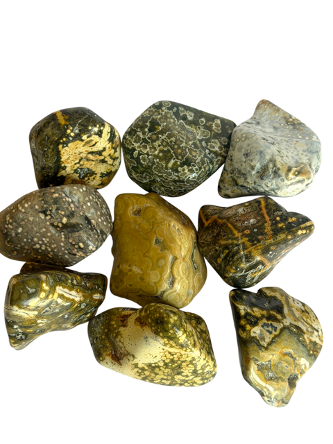 Tumbled Jasper Ocean (Orbicular)