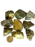 Tumbled Jasper Ocean (Orbicular)