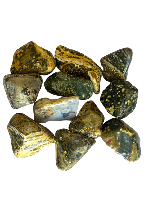 Tumbled Jasper Ocean (Orbicular)