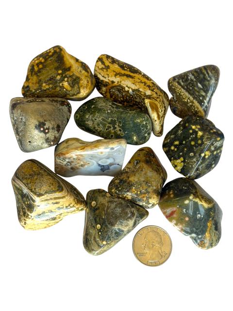 Tumbled Jasper Ocean (Orbicular)