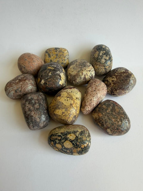 Tumbled Jasper leopard skin