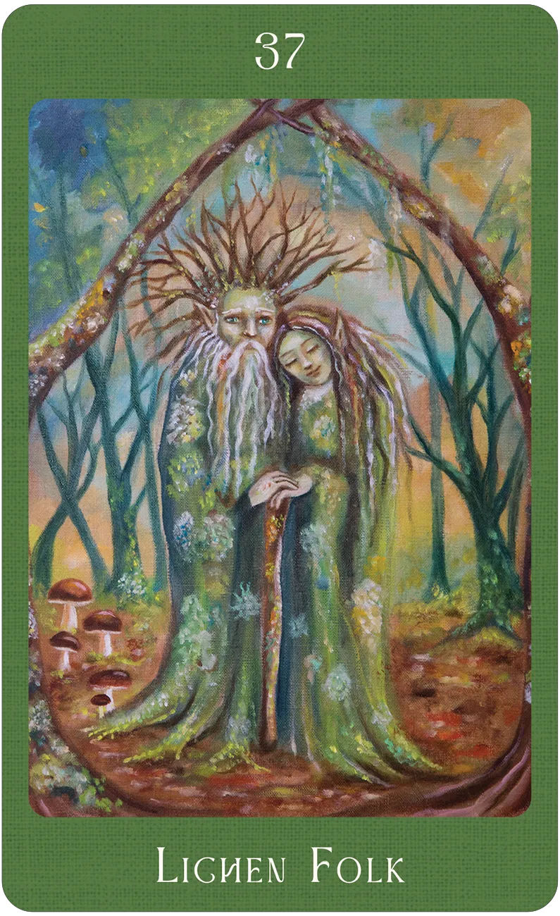 Mushroom Folk Oracle