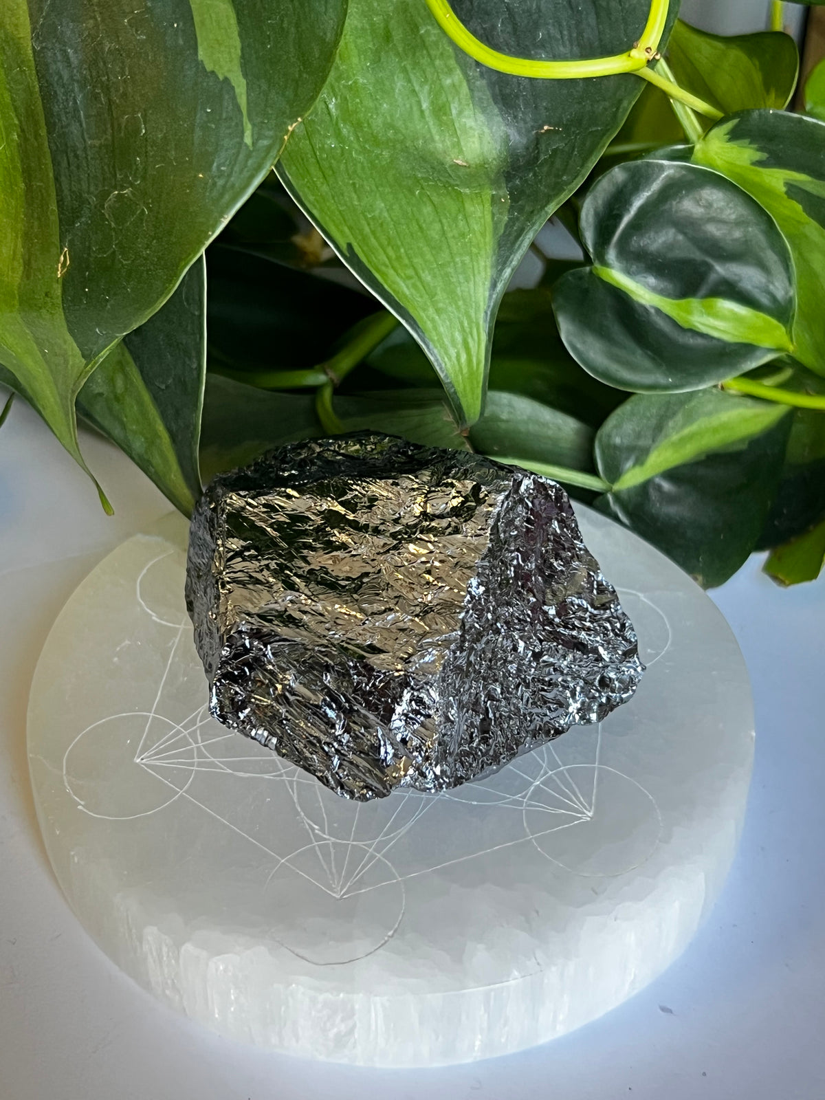 Silicon 99.9% Large