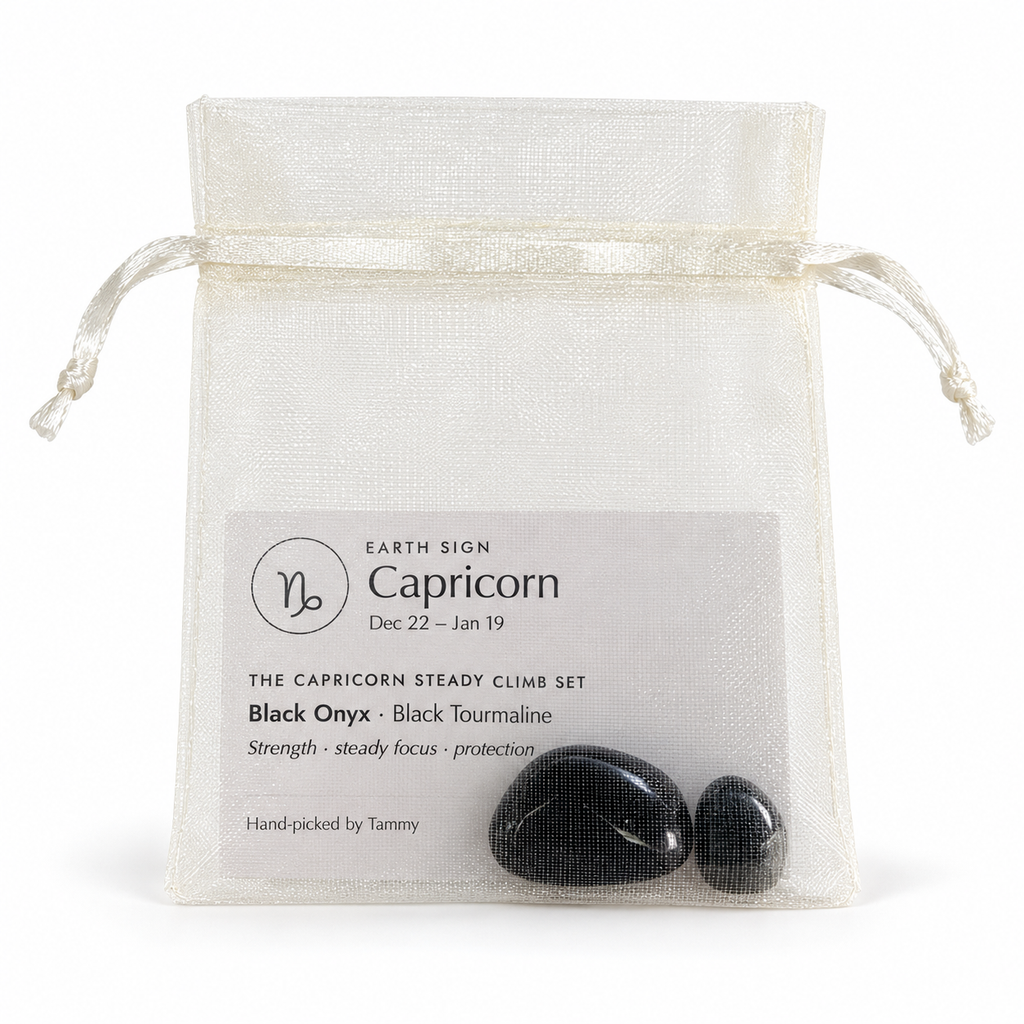 Capricorn stones and zodiac card inside ivory organza gift bag