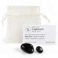 Capricorn Steady Climb Set with Black Onyx, Black Tourmaline, card and gift bag