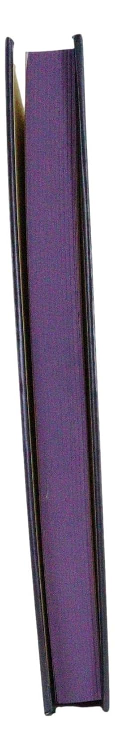 Dragon Nether Blade Drake Embossed Hard Cover Journal - Ruth Thompson Fantasy Dragon Semi Iridescent Journal