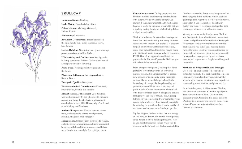 Art & Practice of Spiritual Herbalism: Transform, Heal, and Remember with the Power of Plants and Ancestral Medicine