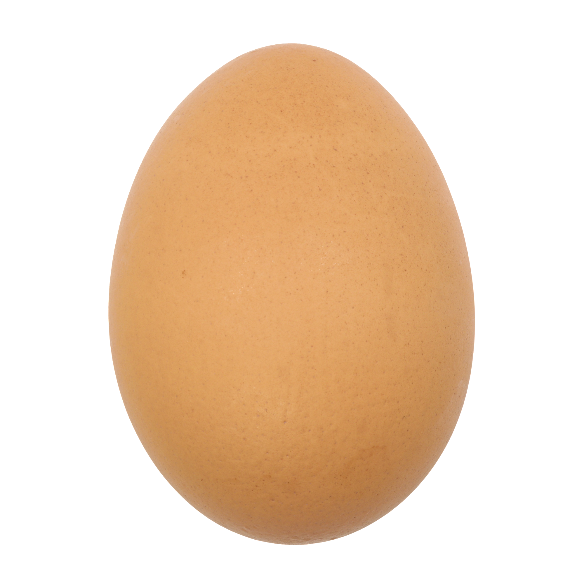 Easter Egg Animal