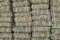 Rue 4" Smudge Stick