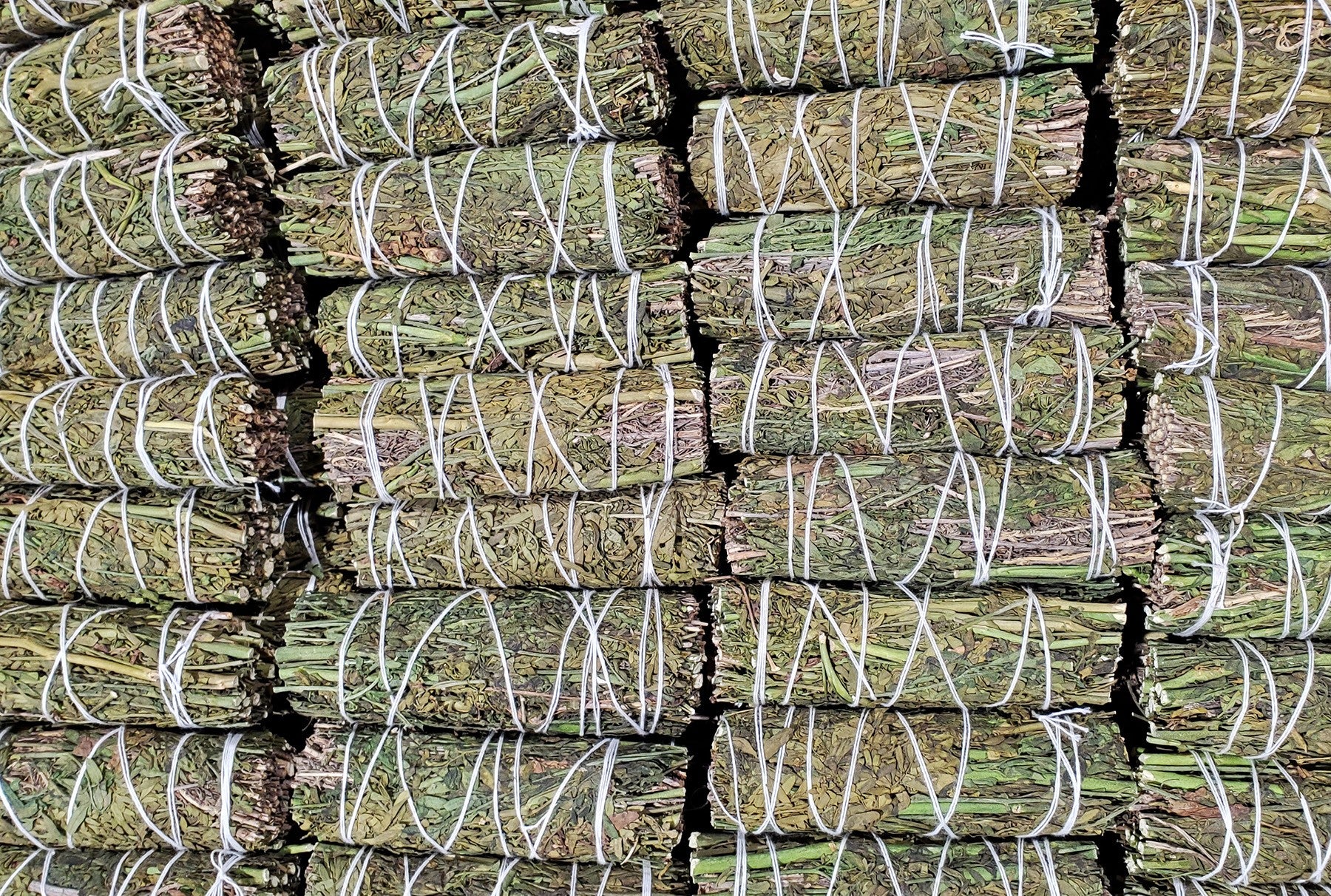 Rue 4" Smudge Stick