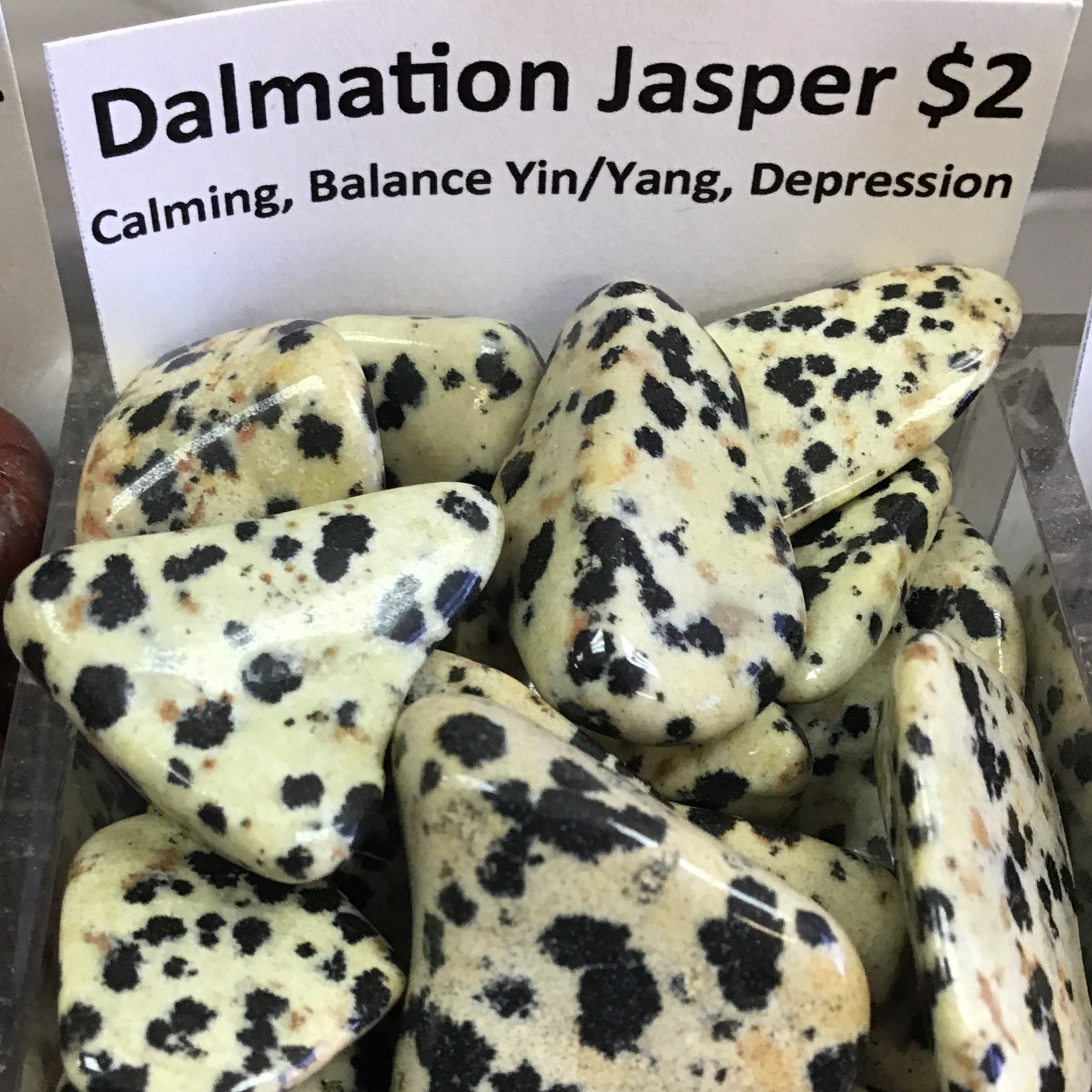 Tumbled Jasper Dalmation
