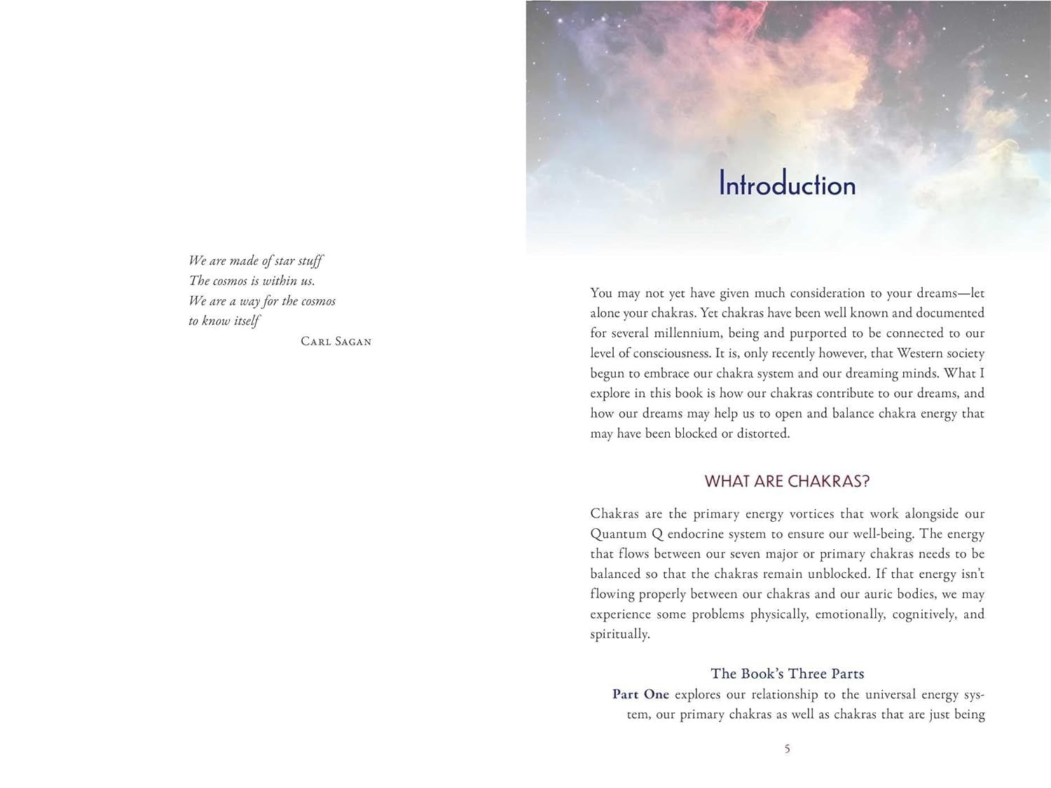 Chakra Dreamwork: Decode and Heal Your Energy Field through Conscious Dreaming