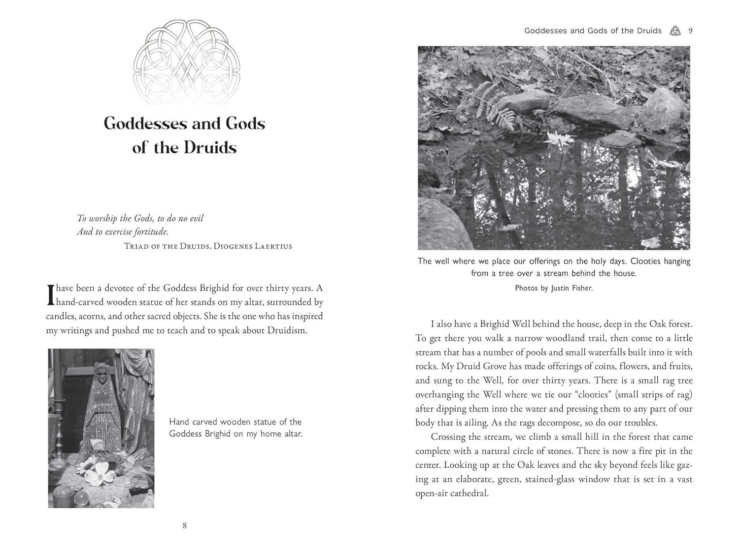Celtic Druidry: Rituals, Techniques, and Magical Practices