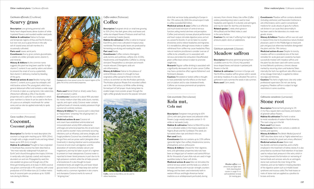 Encyclopedia of Herbal Medicine New Edition