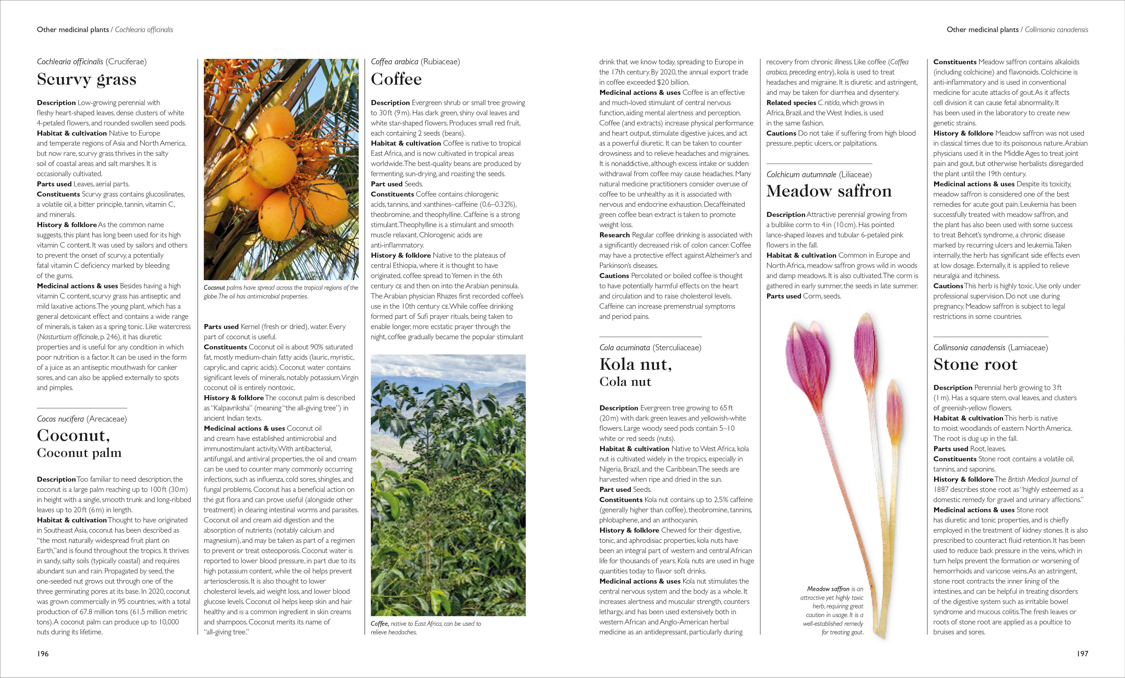 Encyclopedia of Herbal Medicine New Edition
