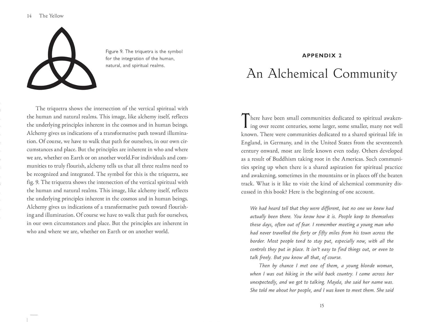 Alchemical Lightwork: A Guide to Creating Cultures of Light and Spiritual Awakenin