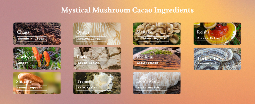 ORA Mystical Mushroom Enhanced Ceremonial Cacao