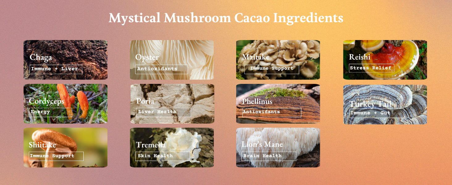 ORA Mystical Mushroom Enhanced Ceremonial Cacao