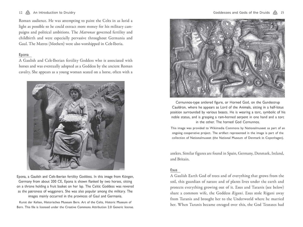 Celtic Druidry: Rituals, Techniques, and Magical Practices
