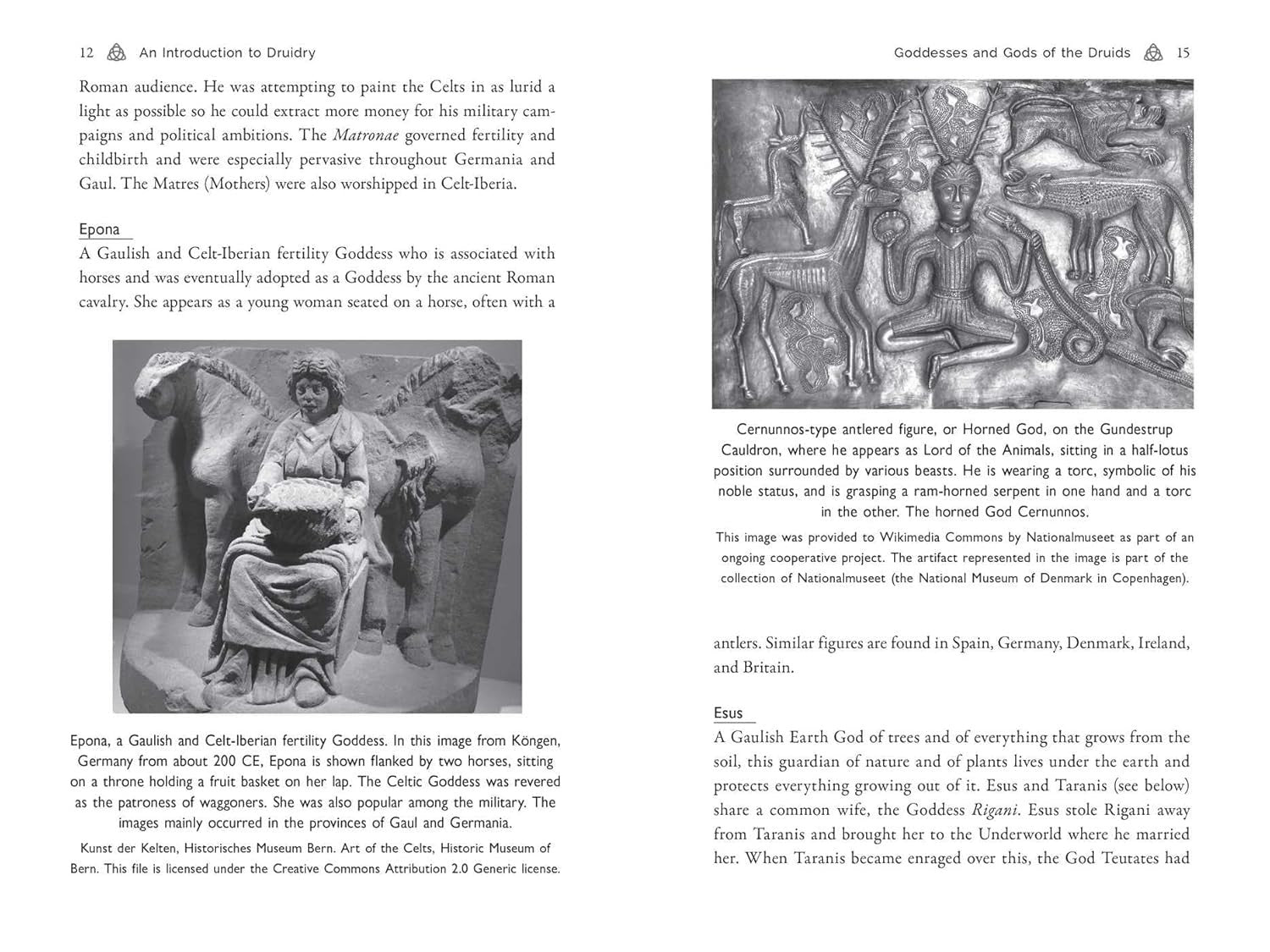 Celtic Druidry: Rituals, Techniques, and Magical Practices