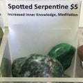 Tumbled Serpentine Spotted