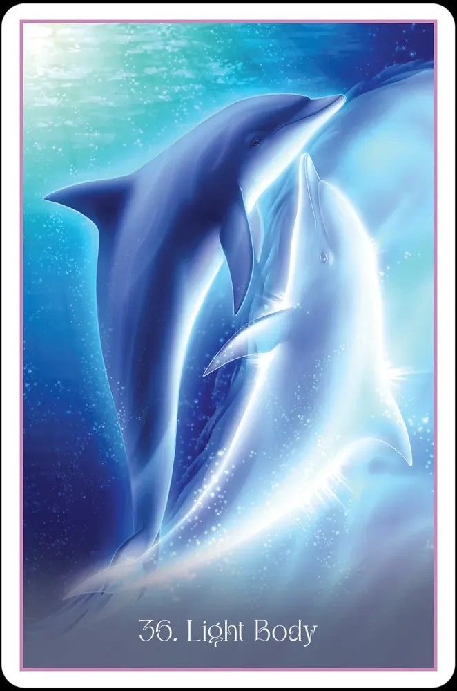 Whispers of the Dolphin Heart: An Oracle of Divine Connection