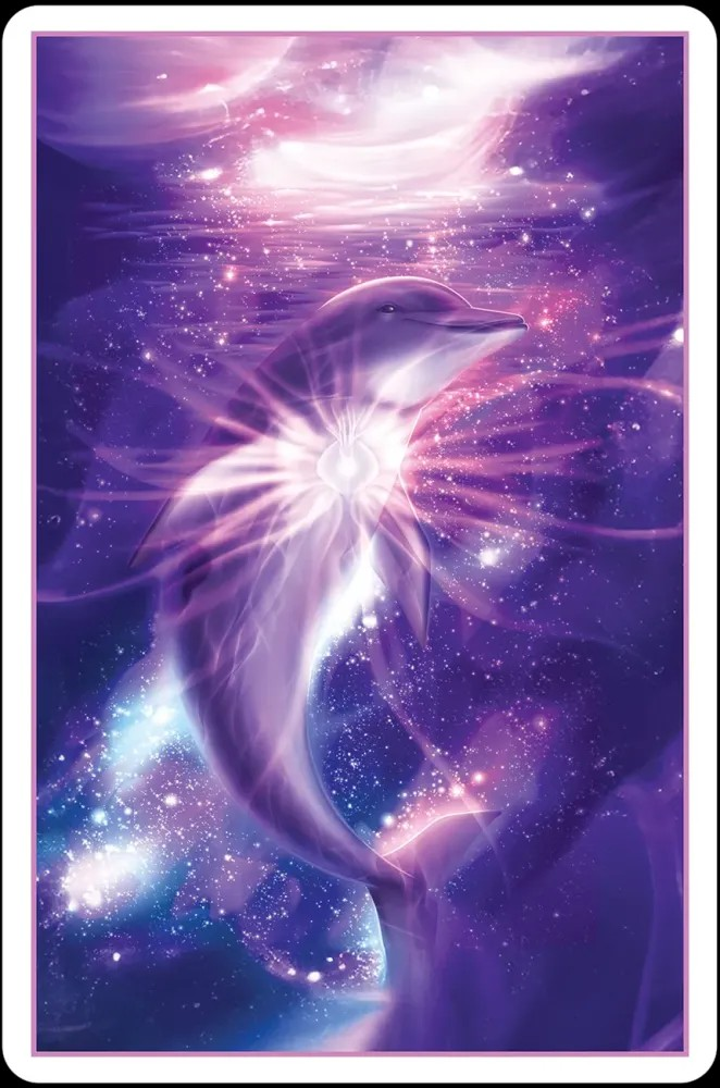 Whispers of the Dolphin Heart: An Oracle of Divine Connection
