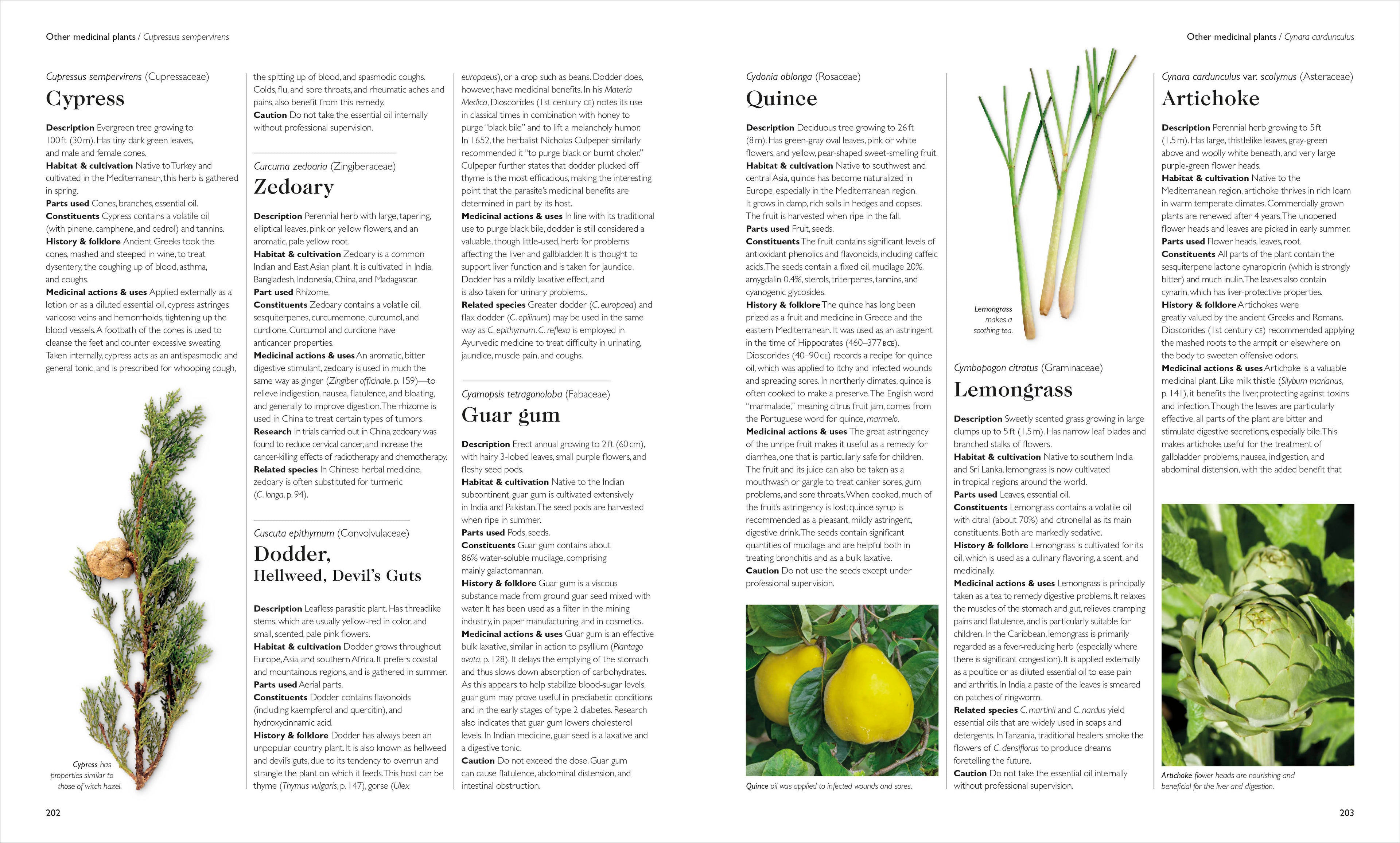 Encyclopedia of Herbal Medicine New Edition