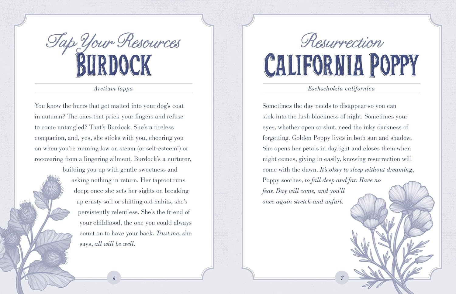 The Illustrated Herbiary Oracle Cards: 36-Card Deck of Bewitching Botanicals (Wild Wisdom) Cards