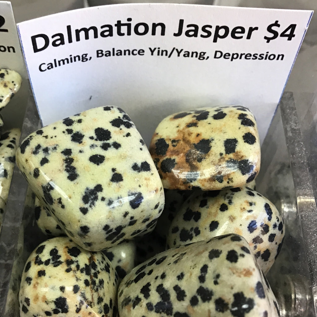 Tumbled Jasper Dalmation