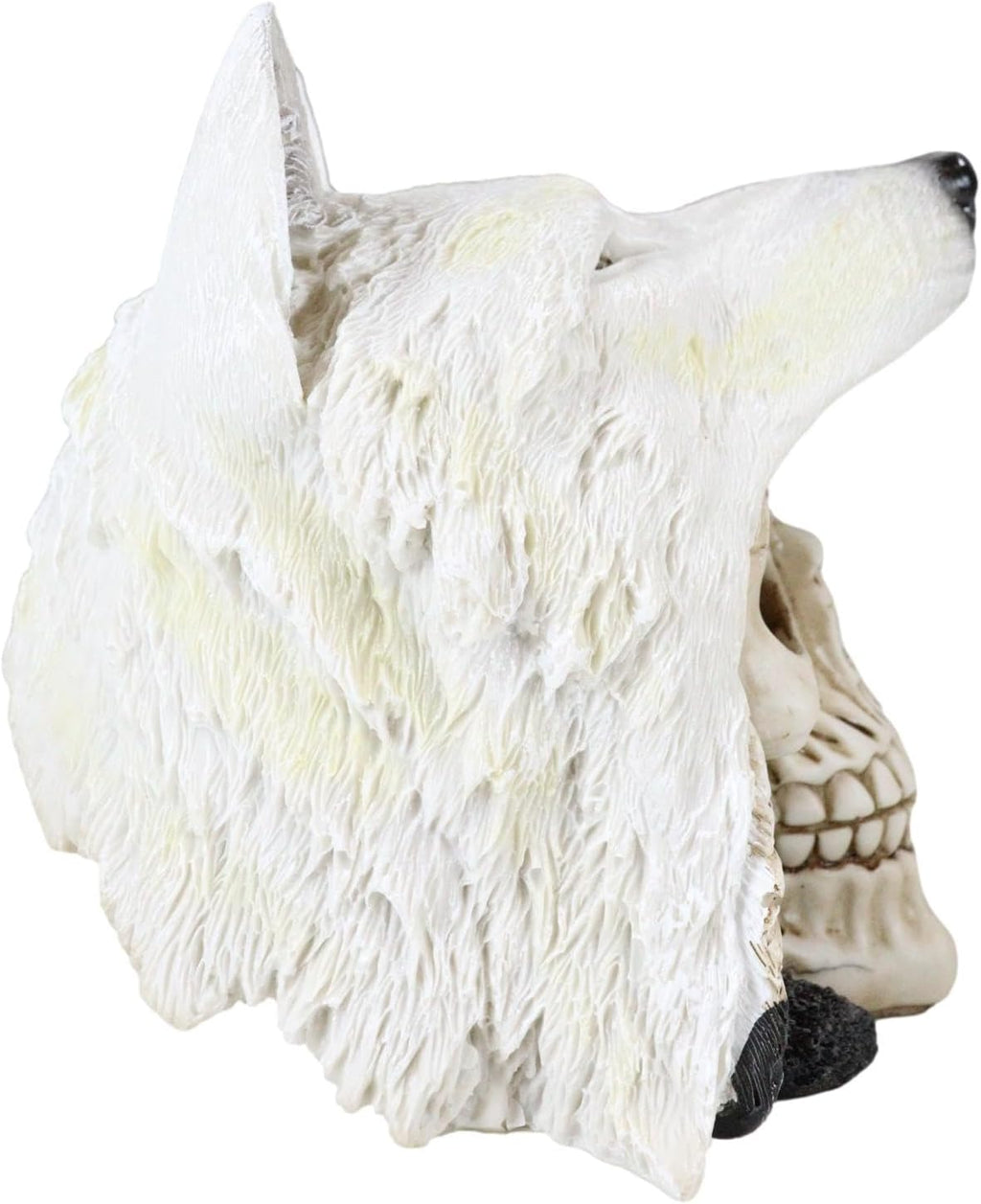 White Wolf Warrior Skull Figurine