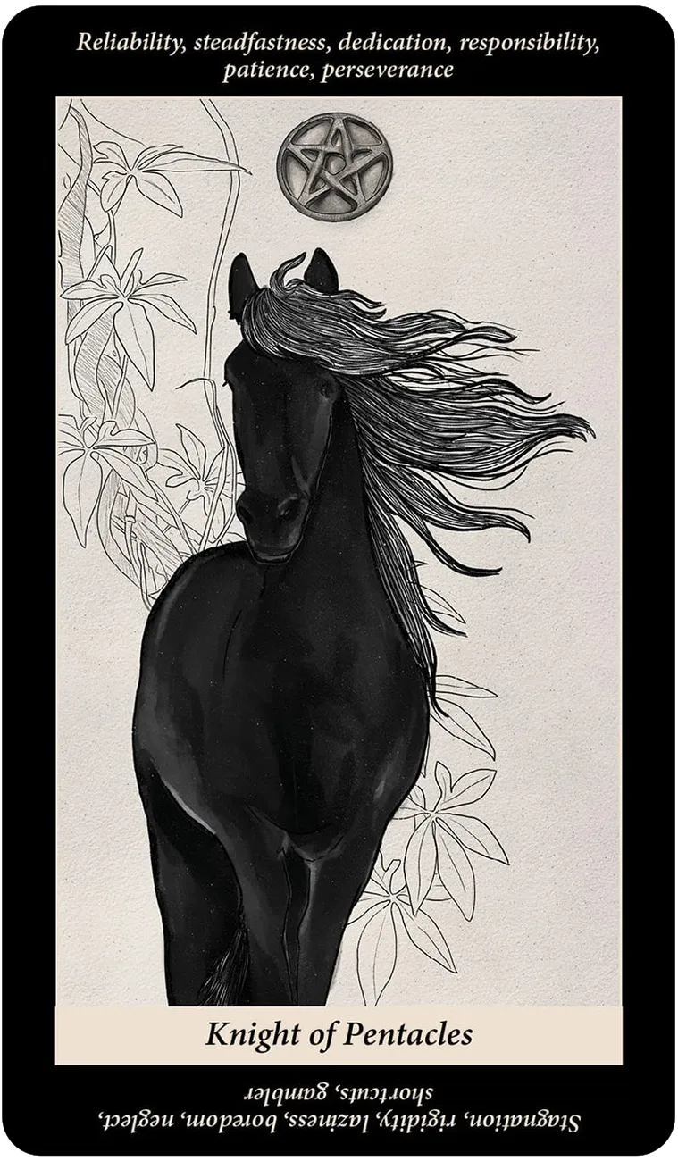 Soul Reflections Tarot